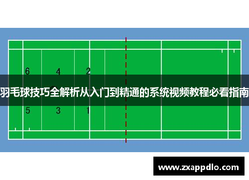 羽毛球技巧全解析从入门到精通的系统视频教程必看指南